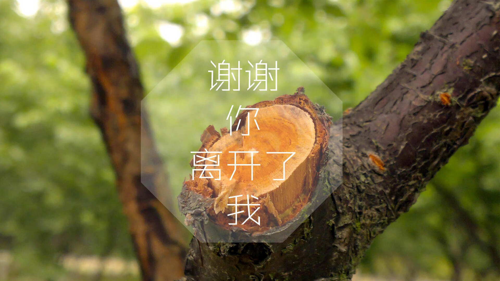 APEX英雄 线上赛观赛人数创新高，apex比赛录像