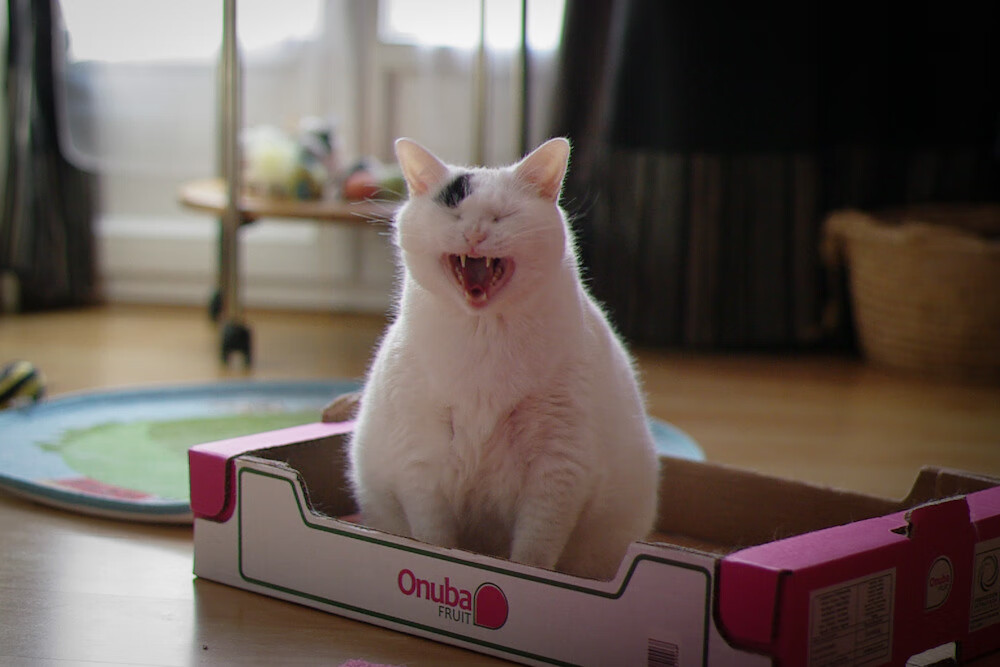 【年度顶级赛事回顾】精彩瞬间与战略分析，精彩赛事回眸