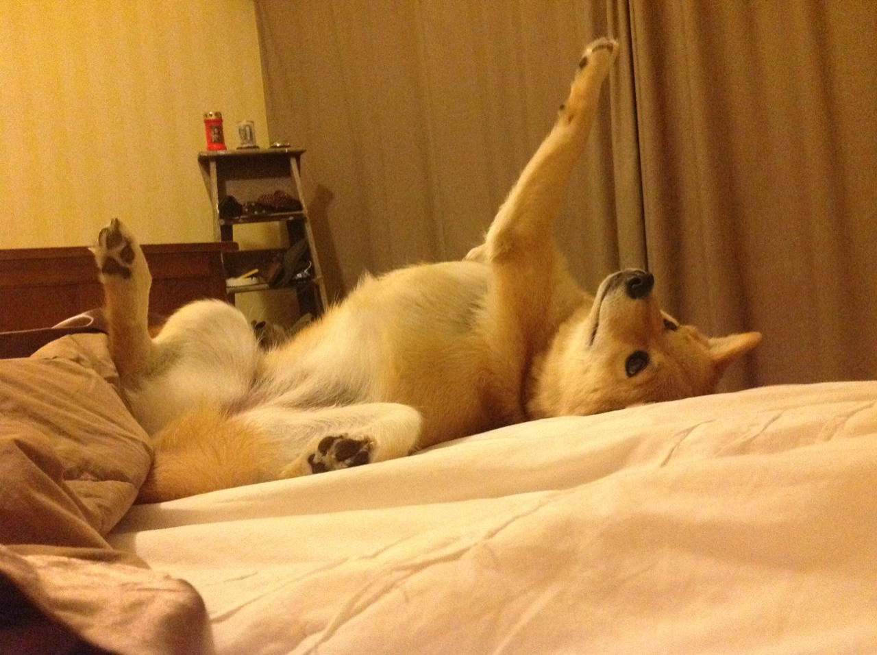 中国足球裁判力推公平竞赛新措施，足球裁判公平公正