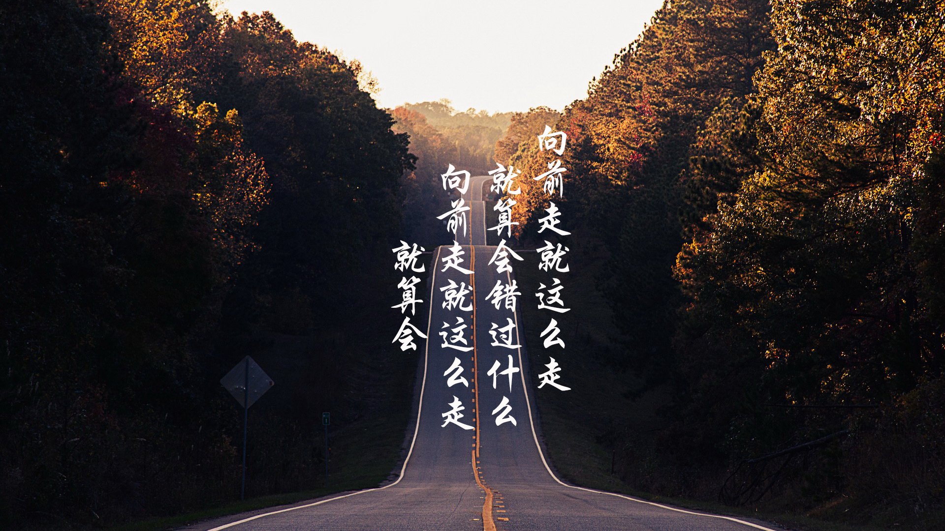 全国女排联赛，巾帼英豪争夺荣耀，全国女排联赛百科