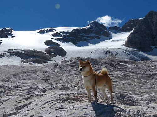 全国女排联赛，巾帼英豪争夺荣耀，全国女排联赛百科