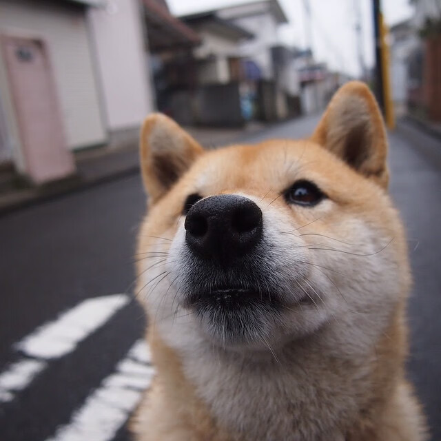 国足集训营开展专项心理训练课程,足球心理训练